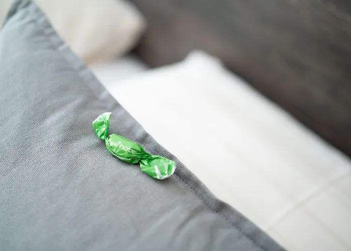 Eee فندق لييزين